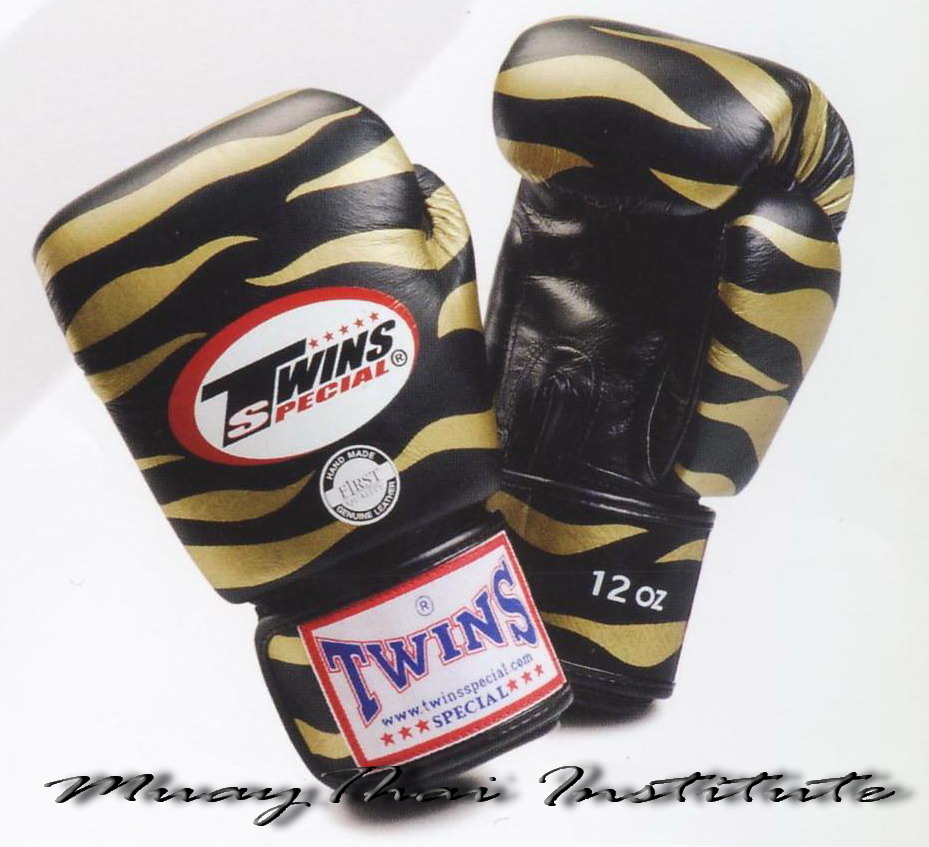 Fancy Boxing Gloves "Tiger" : Black&Gold color"